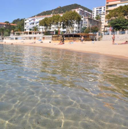Appartement 50M2 Pied Dans L'Eau Ajaccio  Ngoại thất bức ảnh