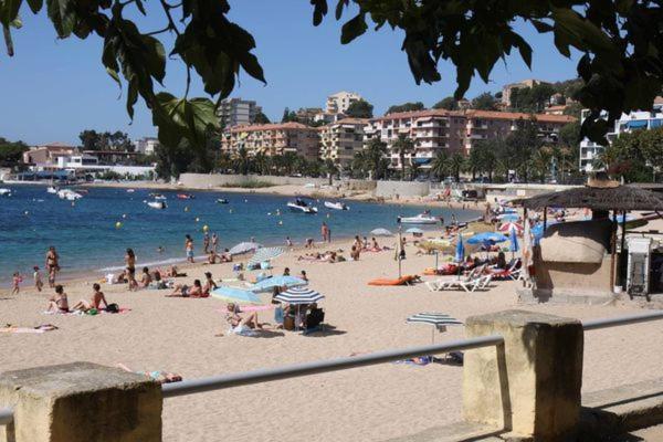 Appartement 50M2 Pied Dans L'Eau Ajaccio  Ngoại thất bức ảnh
